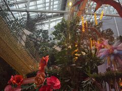 -正佳雨林生态植物园