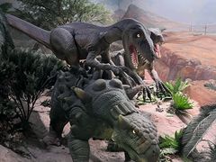 -国家自然博物馆