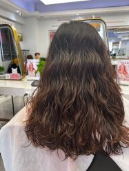 -镁连社·美联社