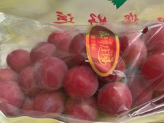 -马陆小张葡萄园农家乐