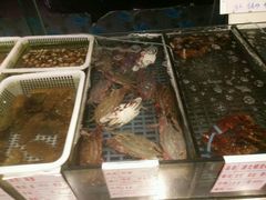 -今鲜源大酒店·中华餐饮名店(新湛路店)