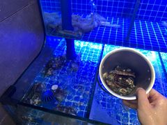 -野妹火锅(布吉店)