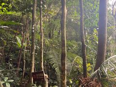 -七仙岭温泉国家森林公园