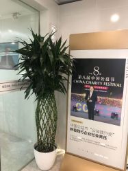 -悟空祛痘·诺奖技术专业店