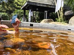 -融汇温泉