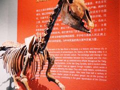 -齐齐哈尔市博物馆