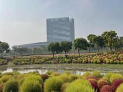 -春花秋色城市公园