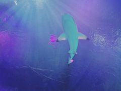 -沈阳海洋探索中心