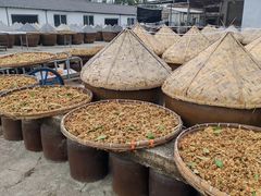 -苏州市吴中区光福窑上花果蜜饯厂