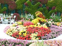 -上海共青森林公园