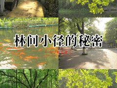 -忠山公园