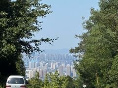 -金水泊山庄·花椒鸡(铁山坪店)