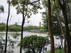 -三水森林公园