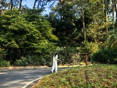-白云山风景名胜区