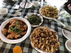 -草根堂农场