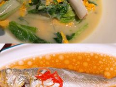 -波螺油子青岛本帮菜(银座店)