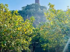 -南沙天后宫景区