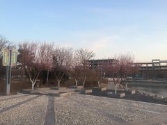 -天津金海湖