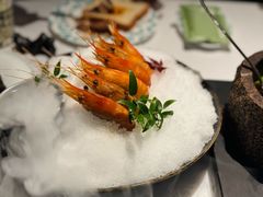 -桂满陇·海市蜃楼·黑金(国金店)