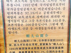 -帽儿山国家森林公园