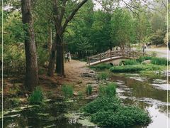 -白水寺森林公园