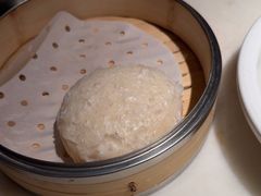 -佬肥猫(国华广场店)