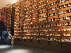 -深影国际影城(学院南路店CGS中国巨幕店)