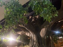 -爱江山温泉(凌奥店)
