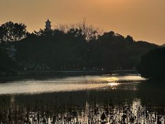 -江心屿景区