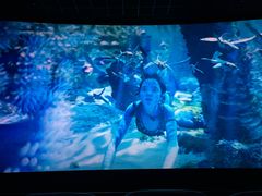 -万象影城(石家庄万象城IMAX激光店)