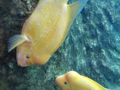 -珠海长隆海洋王国