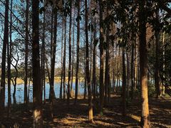 -梁鸿国家湿地公园