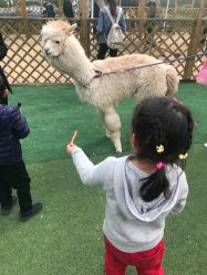 -萌宠亲子动物乐园(槐房万达店)