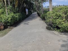 -亚龙湾国际玫瑰谷