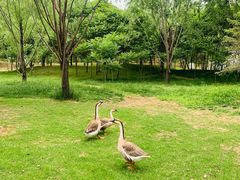 -泰安地下龙宫景区