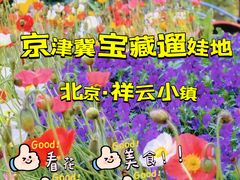 -中粮·祥云小镇