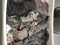 -海底捞火锅(老城根店)