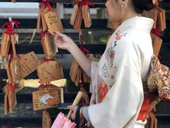 -有栖山 清光院 清水寺
