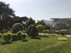 -北京植物园-展览温室
