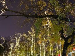-大雁塔北广场音乐喷泉