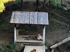 -石家庄市动物园