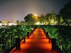 -南通濠河风景名胜区