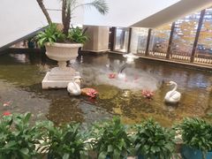 -广州白天鹅宾馆