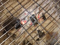 -巢爷老味(东方红店)