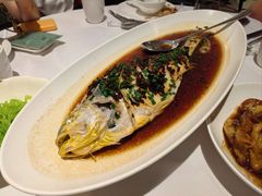 -南麓·浙里(外滩店)