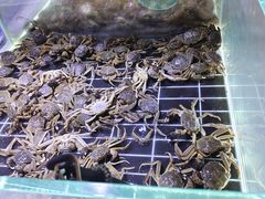 -聚盛源蒸汽海鲜火锅烤肉自助(巨川金海岸购物广场店)