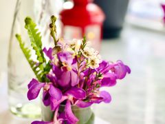 -蝶舍·MAISON PAPILLON