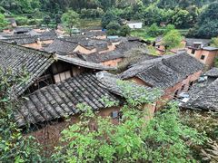 -杨家堂村