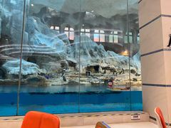 -帝企鹅自助餐厅•儿童岛•真企鹅(长隆企鹅酒店)