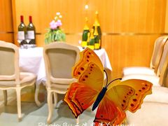 -蝶舍·MAISON PAPILLON